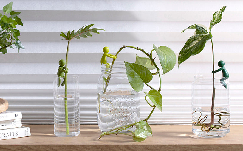 Leafriend: Plant Propagation Buddy; Plant Support For Sprouts, Stems, Shoots, And Cuttings; 3 Cute Plant Supports For A Plant Propagation Station Or