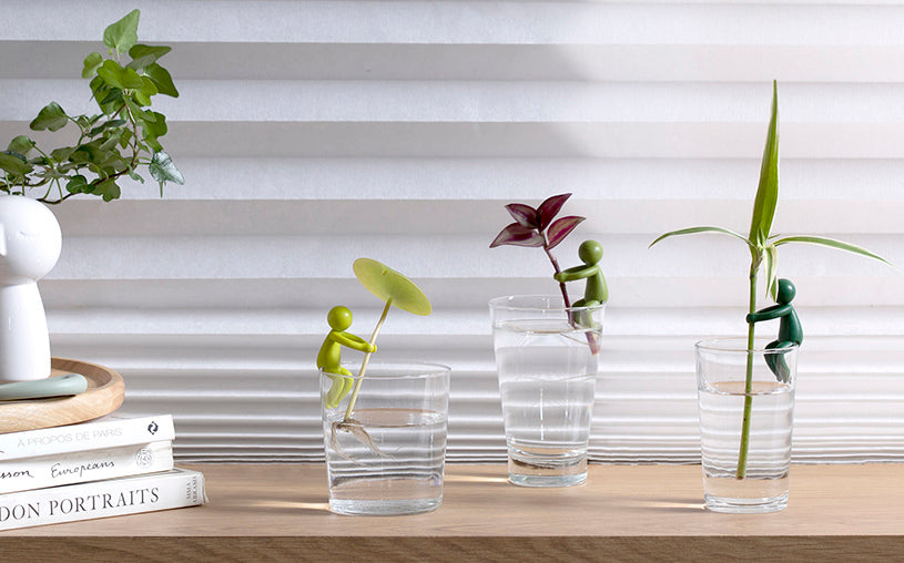 Leafriend Plant Propagation Buddy