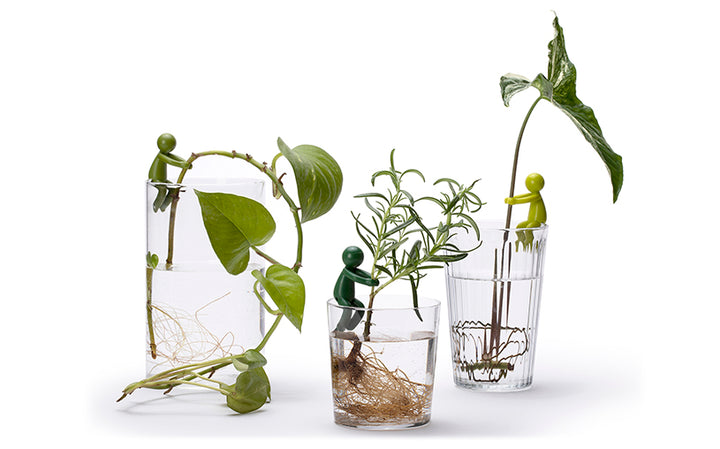 Leafriend – Peleg Design